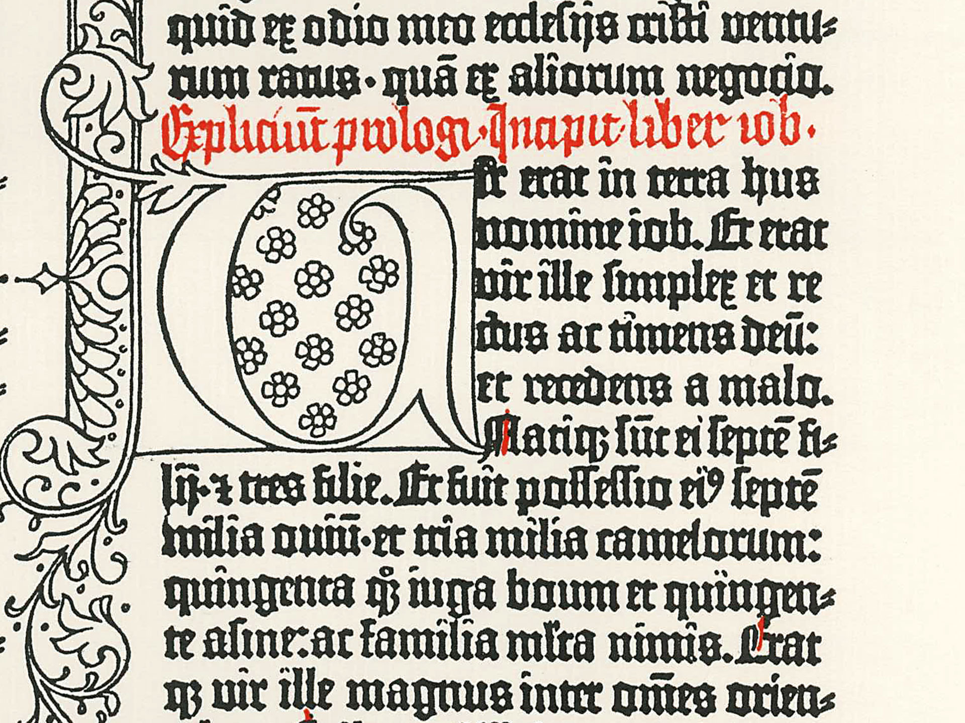 Das Buch Hiob. Pressendruck Gutenberg-Bibel