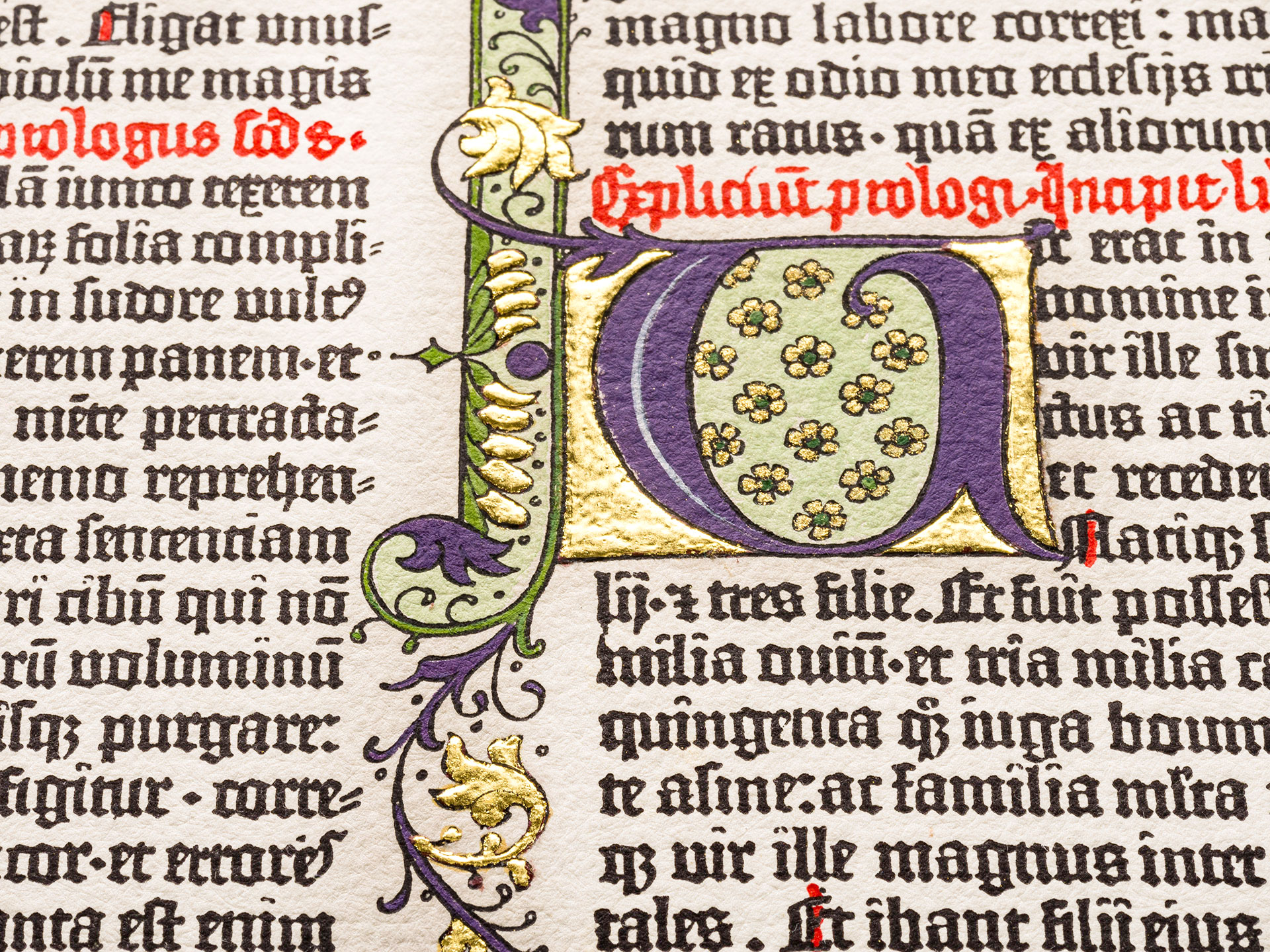 The Book of Job. Press print from the Gutenberg Bible
