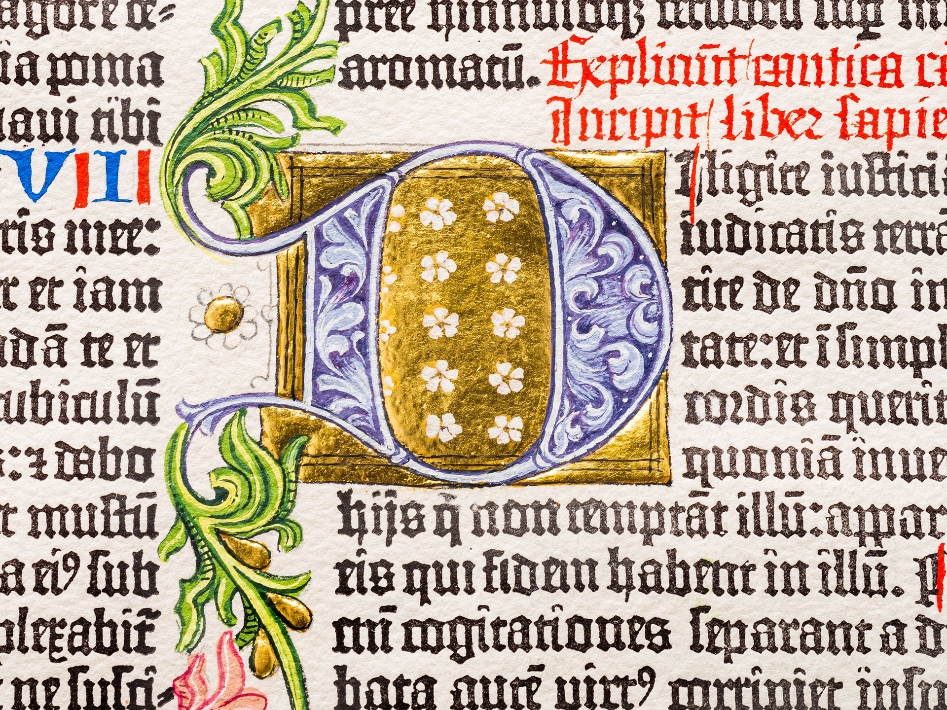 The Book of Wisdom. Ornamental page from the Berlin Gutenberg Bible