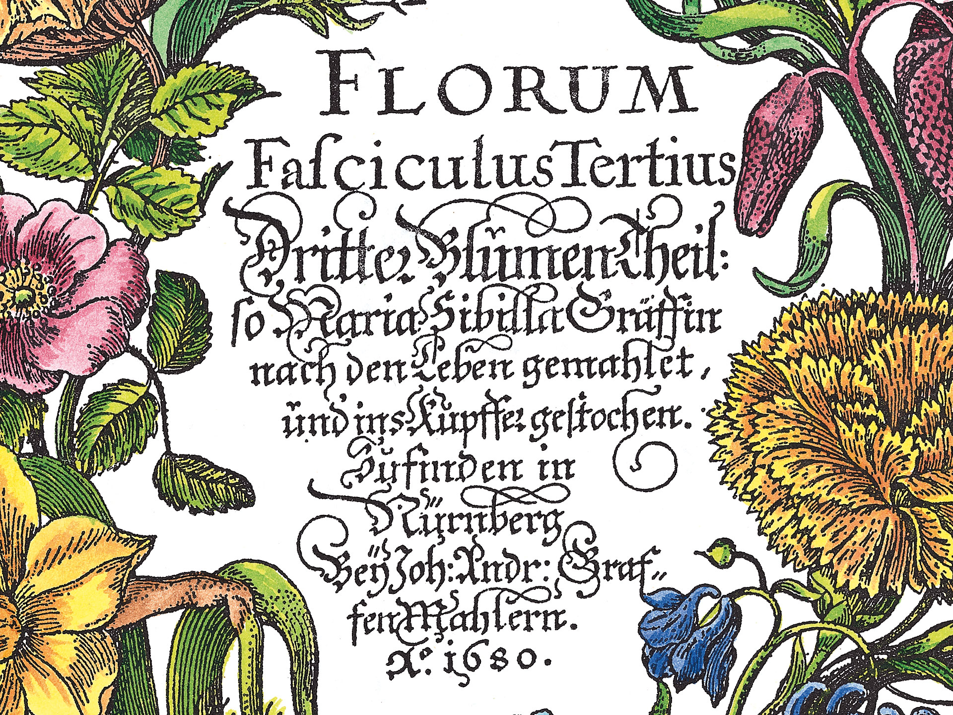 Press print, Maria Sibylla Merian: Floral wreath