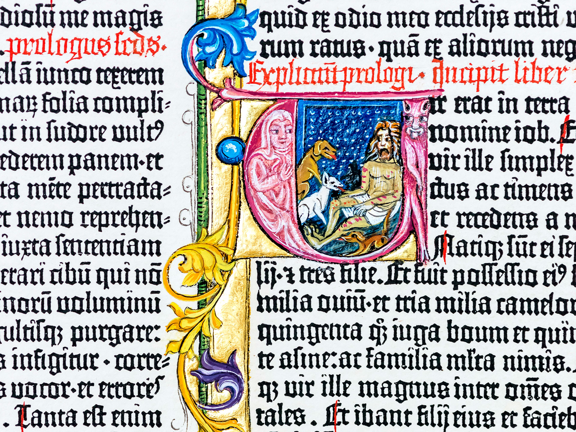 Das Buch Hiob. Berliner Gutenberg-Bibel